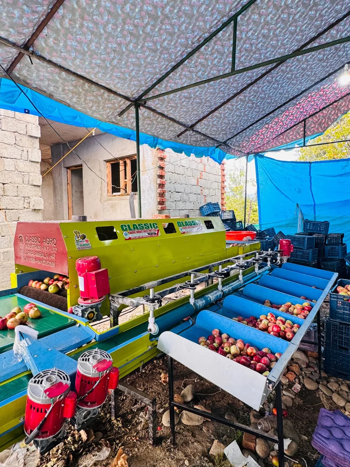 Apple sorting line with roller tables and red motors, crates of graded apples beside it