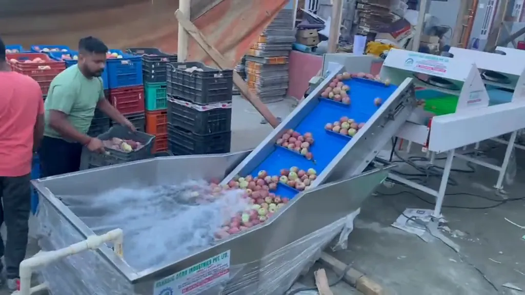 Apple washing machine with a water flume and blue lifting belt in operation