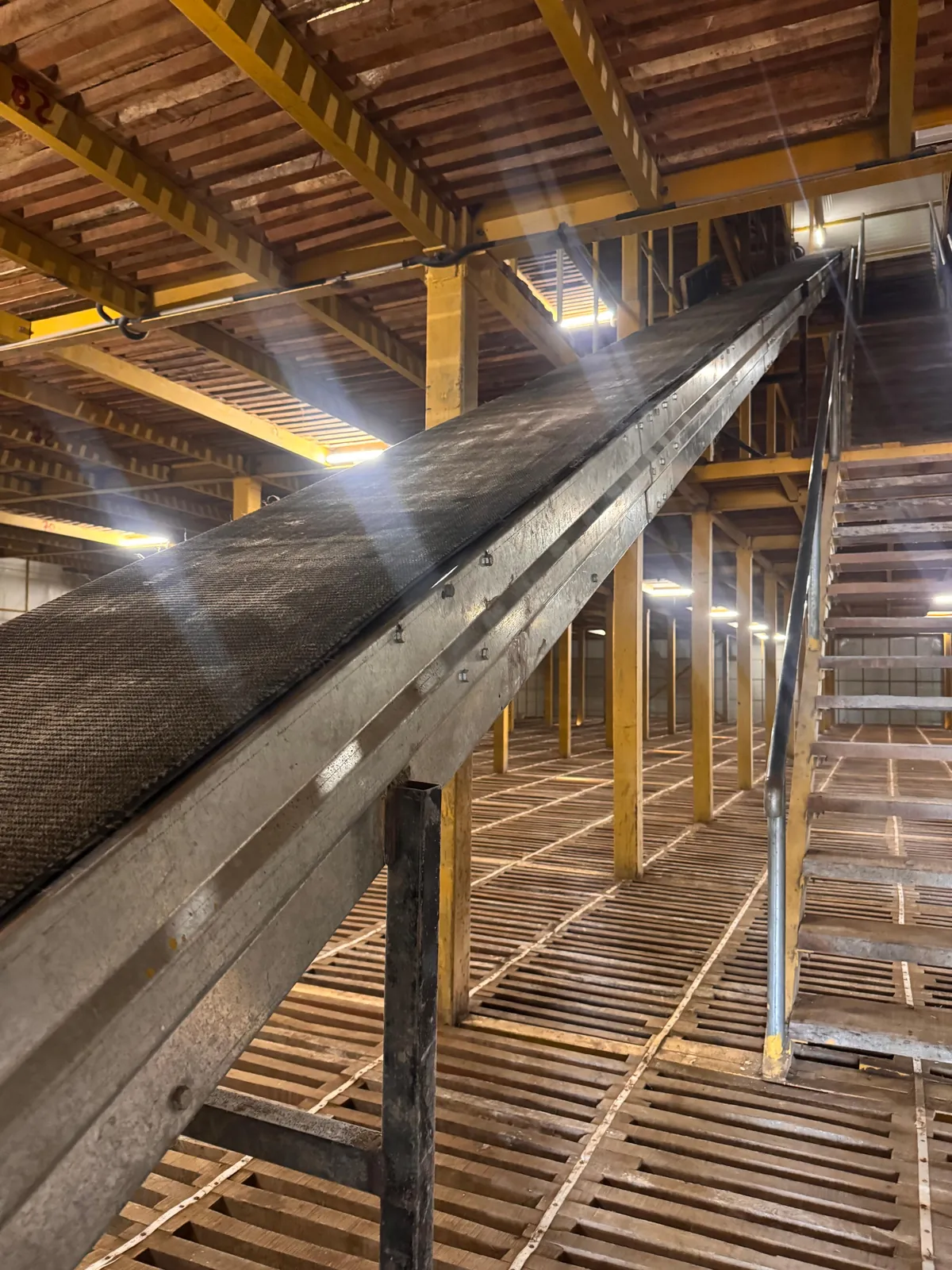 Rubber belt of a cold storage conveyor climbing toward the upper floor
