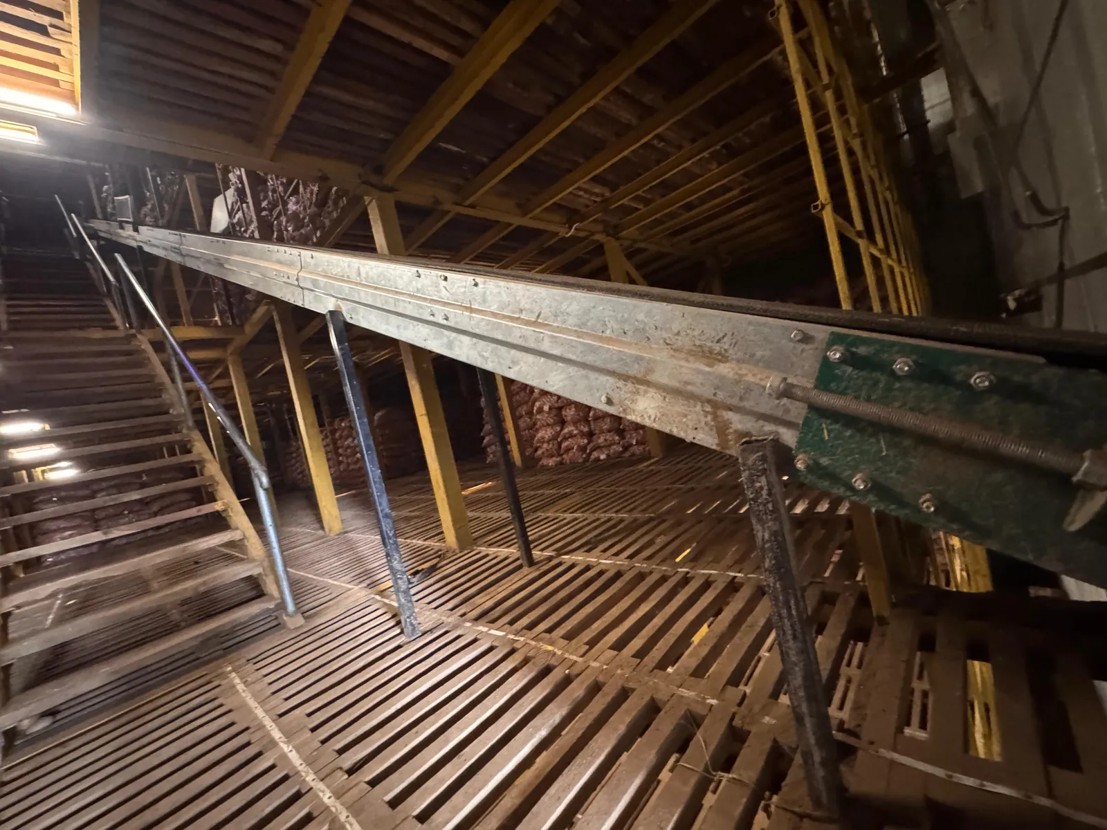 Inclined cold storage conveyor with steel frame and green cover plate