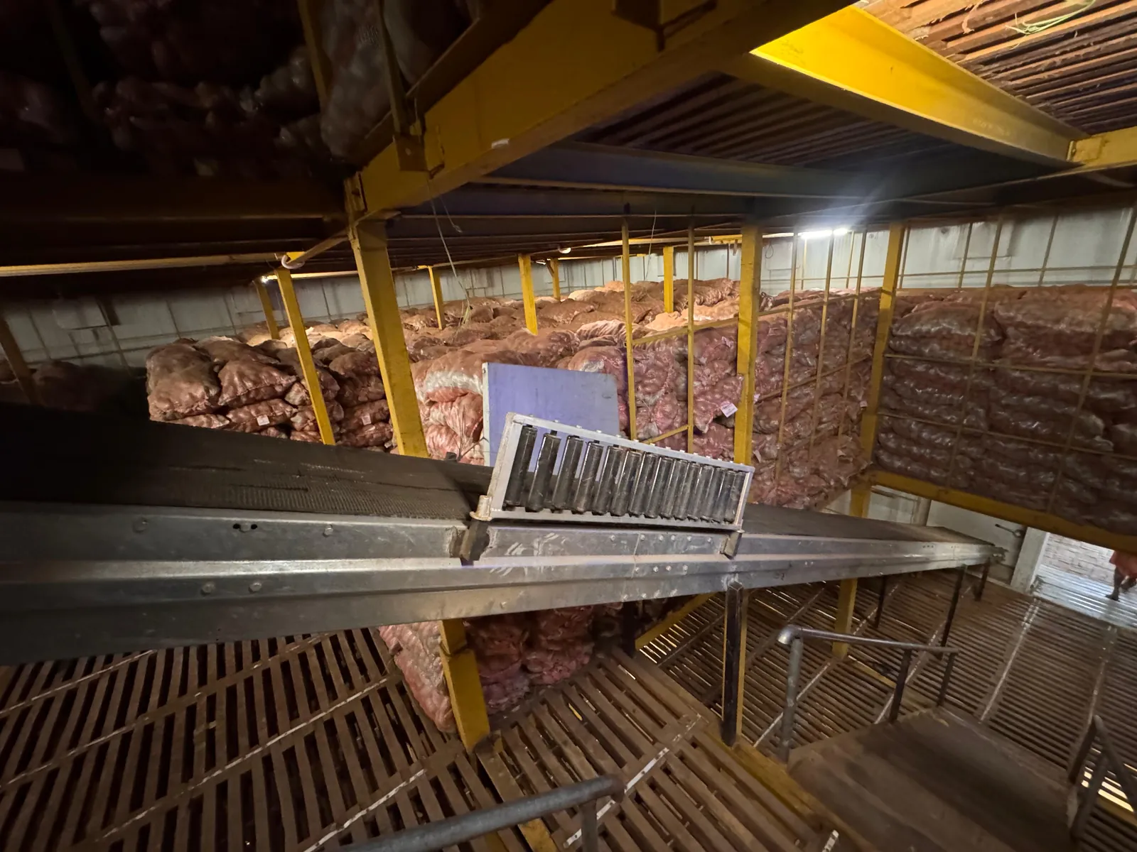Long conveyor running across a cold store with stacked sacks behind it
