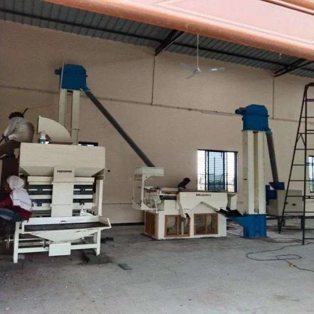 Seed processing plant with cleaning machines and bucket elevators inside a shed