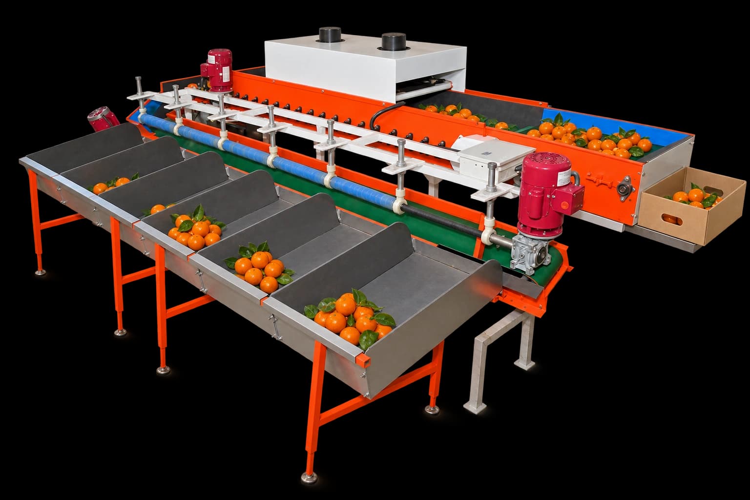 Kinnow Grading Machine