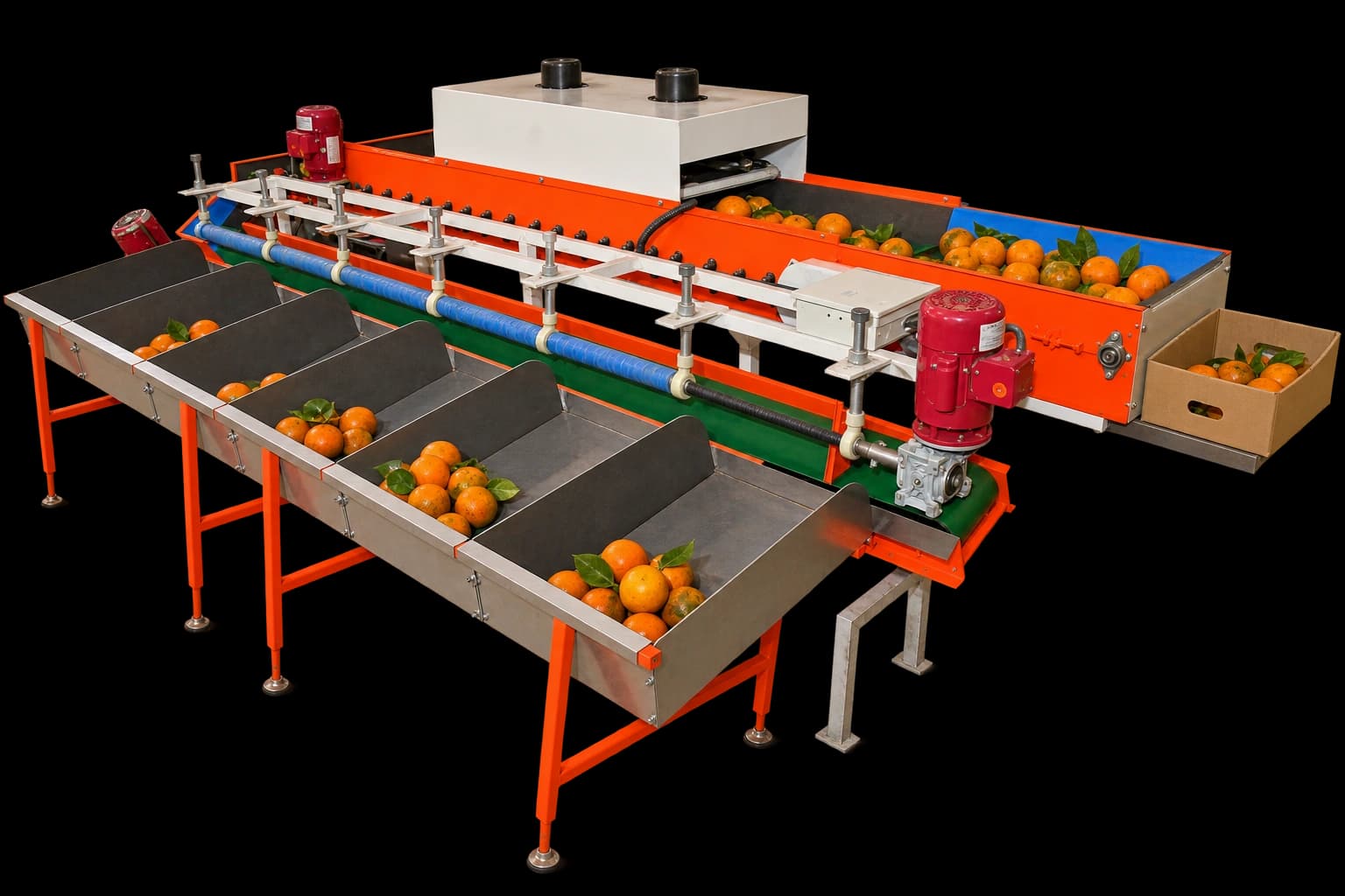 Orange Grading Machine
