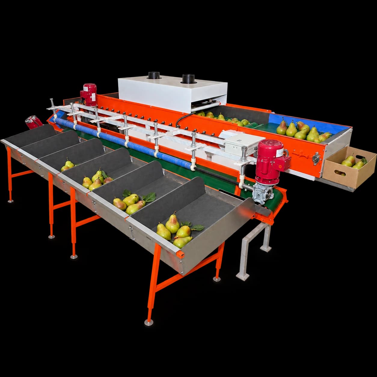 Pear Grading Machine