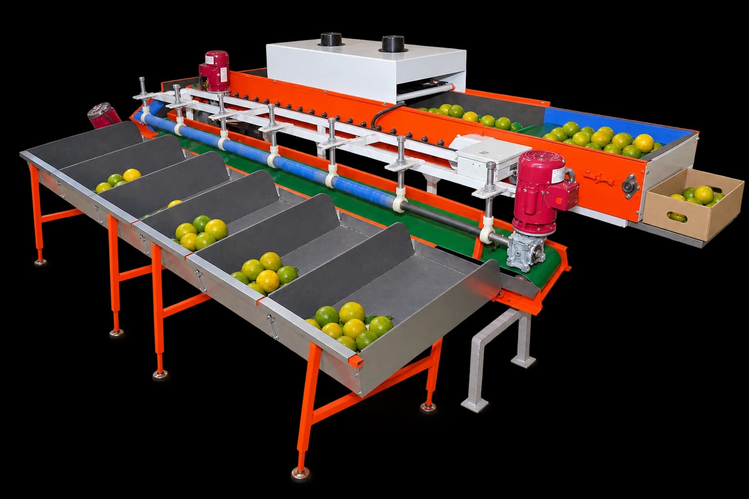 Sweet Lemon Grading Machine