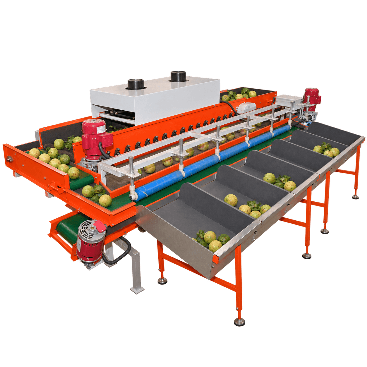 Guava Grading Machine