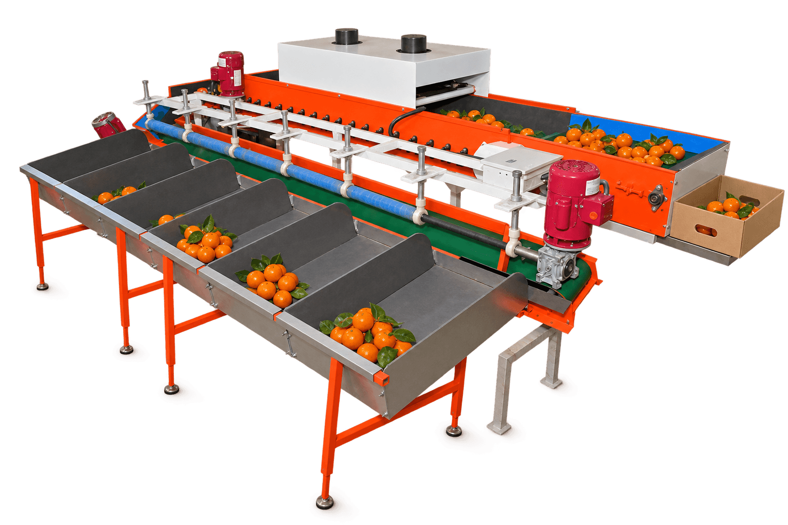 Kinnow Grading Machine