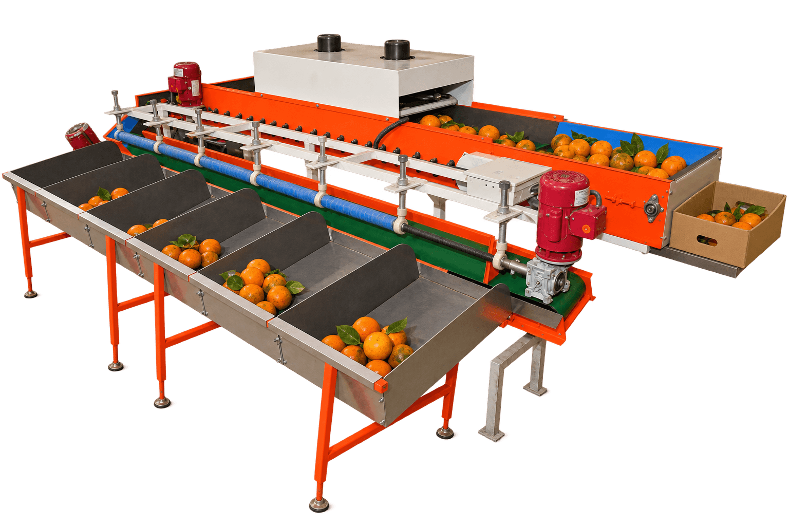 Orange Grading Machine