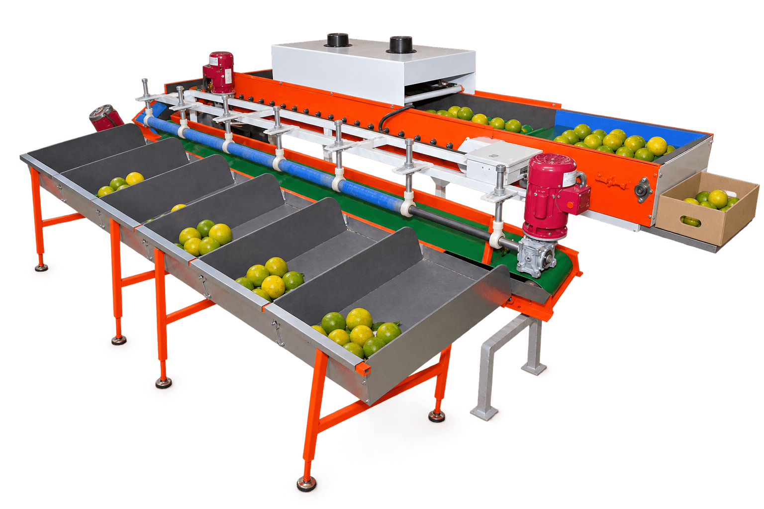 Sweet Lemon Grading Machine