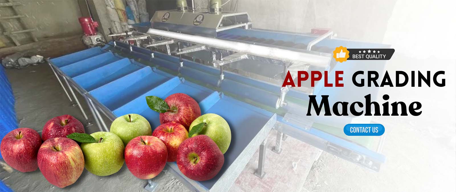 Fruit Grading Machines