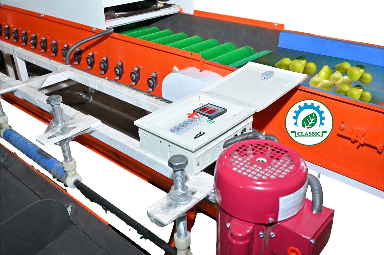 Pear Grading Machine