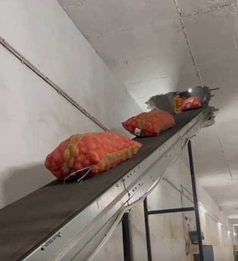 Potato Cold Storage Belt