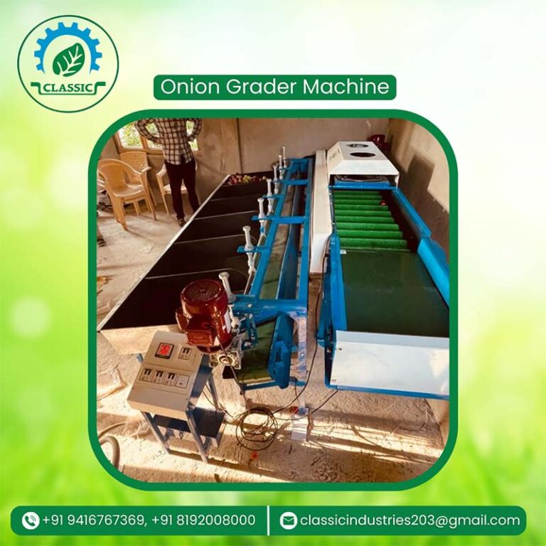 Onion Grader Machine